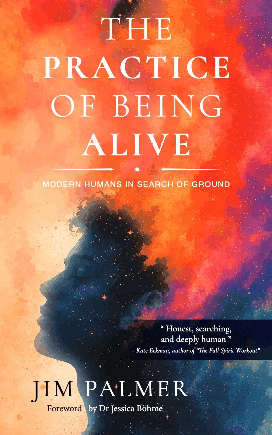The Practice of Being Alive by Jim Palmer — cover